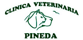clinica_veterinaria_pineda_castelldefels_barcelona