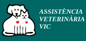 hospital_assistencia_veterinaria_vic